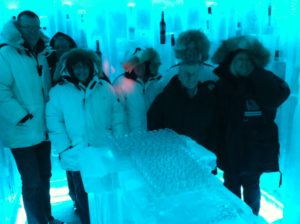 Illuminated vodkas at the Belvedere Ice Bar, Whistler