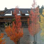 Whistler Village