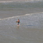 Solitary Surfer