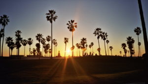 Silhouetted Venice Beach