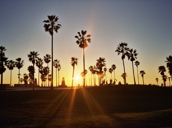 Silhouetted Venice Beach