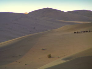 Silhouetted Gobi