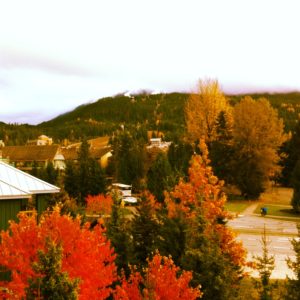 Whistler Village