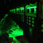 Illuminated Bridge in Whistler