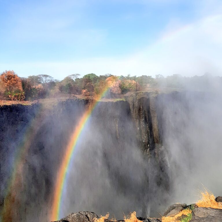 The Rainbow