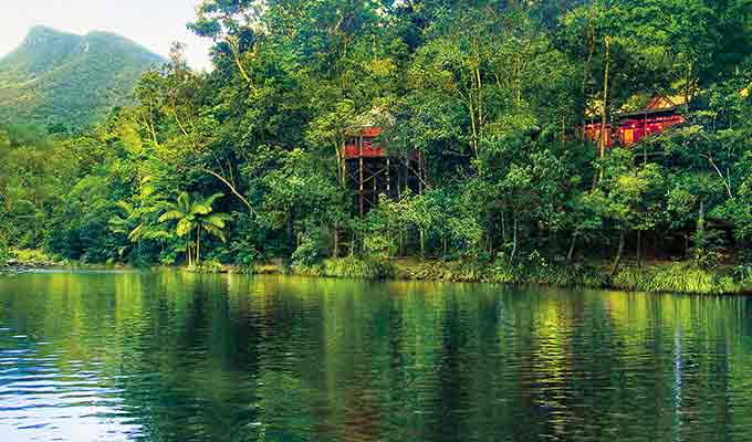 the beautiful Daintree